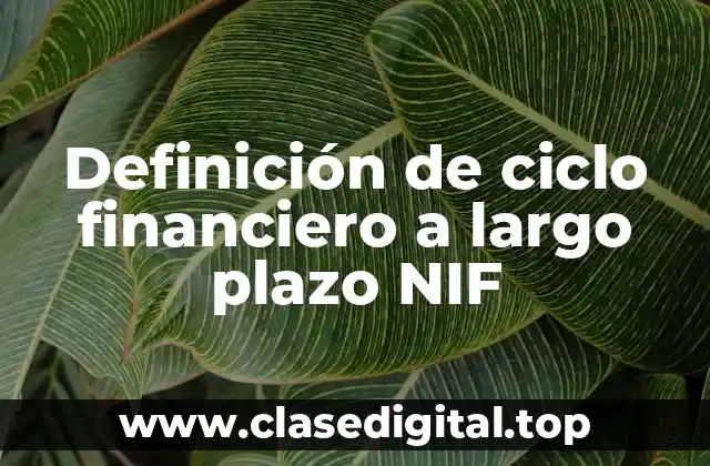 Definición de ciclo financiero a largo plazo NIF