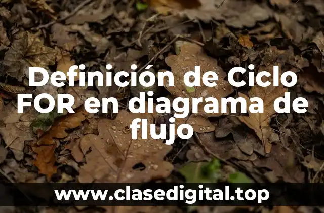 Definición de Ciclo FOR en diagrama de flujo