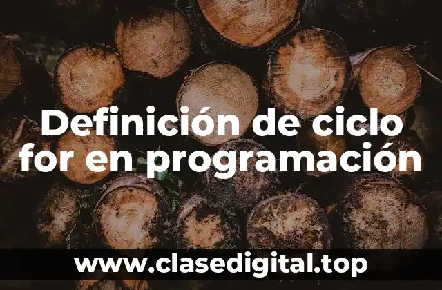 Definición de ciclo for en programación