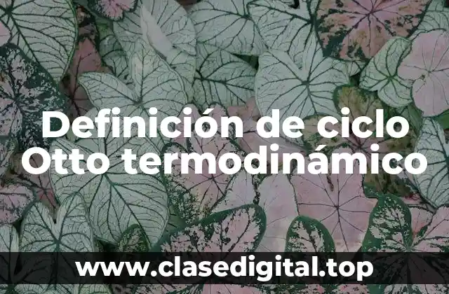 Ejemplos de ciclo Otto termodinámico
