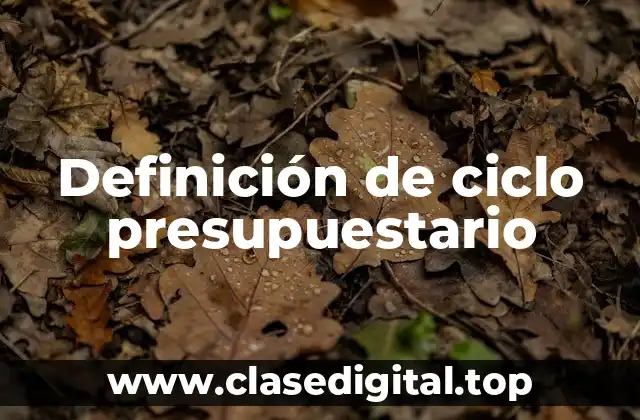 Definición técnica de ciclo presupuestario