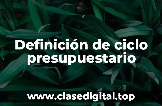 Definición de ciclo presupuestario