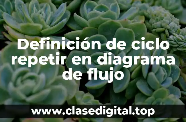 Definición de ciclo repetir en diagrama de flujo