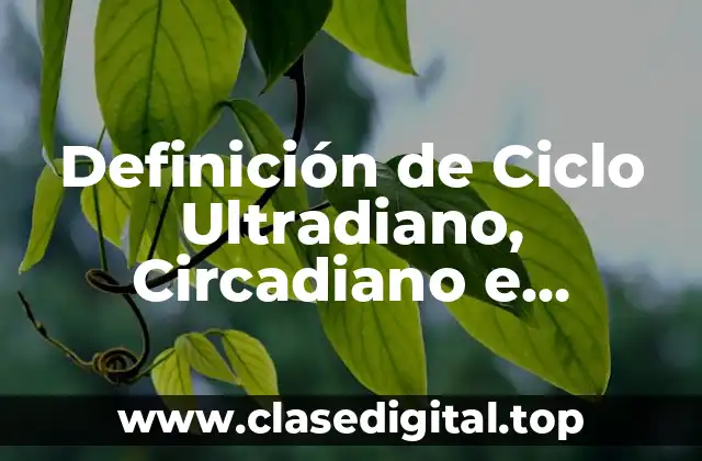 Definición de Ciclo Ultradiano, Circadiano e Infradiano