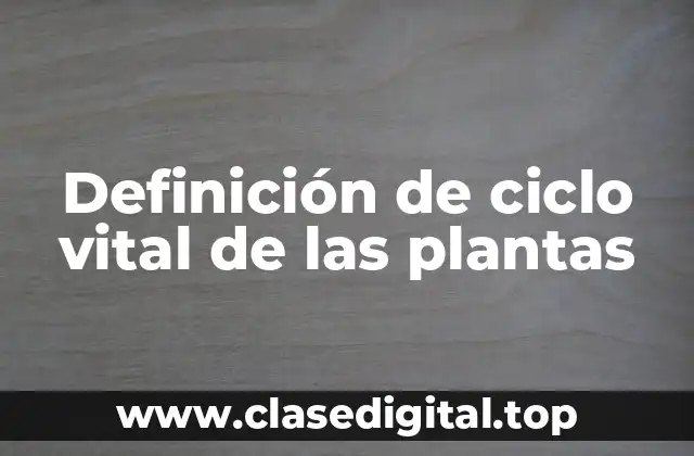 Definición de ciclo vital de las plantas