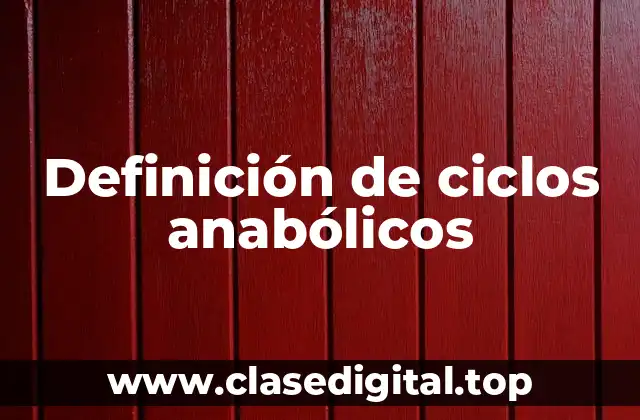 Definición de ciclos anabólicos