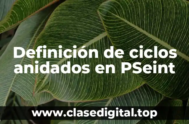 Definición de ciclos anidados en PSeint