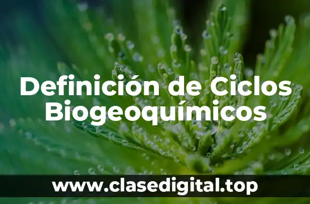 Definición técnica de ciclo biogeoquímico
