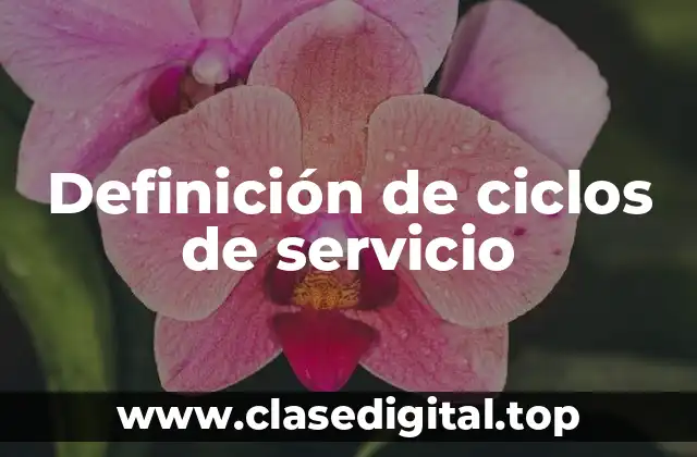 Definición de ciclos de servicio