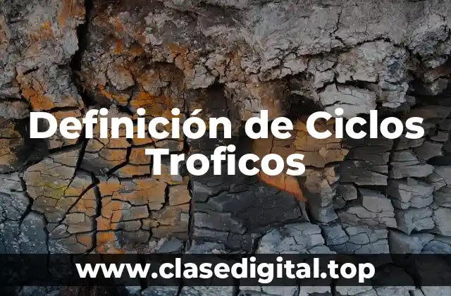Ejemplos de Ciclos Troficos