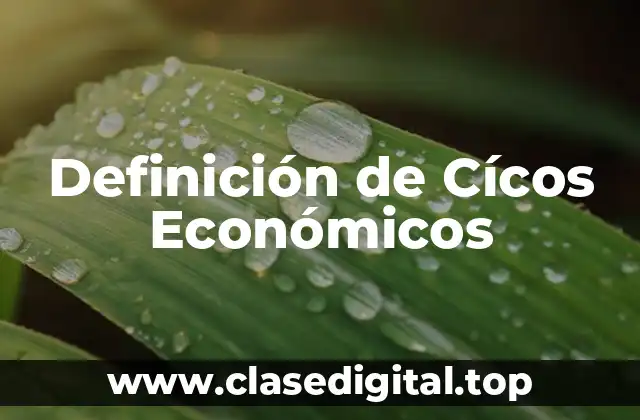 Definición de Cícos Económicos