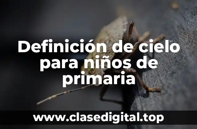 Definición técnica de cielo