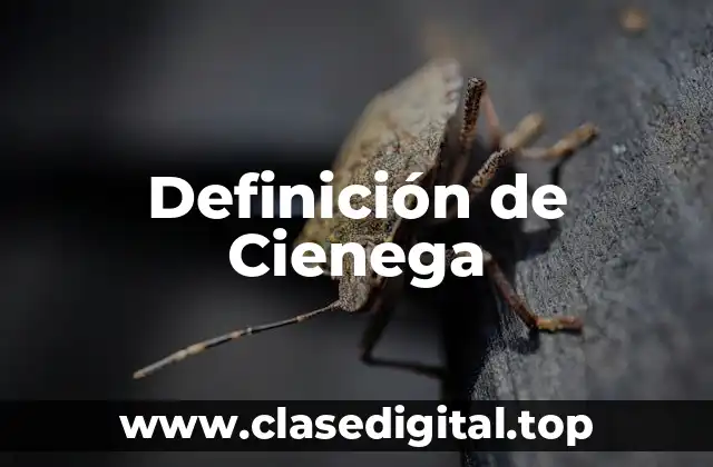 Definición de Cienega