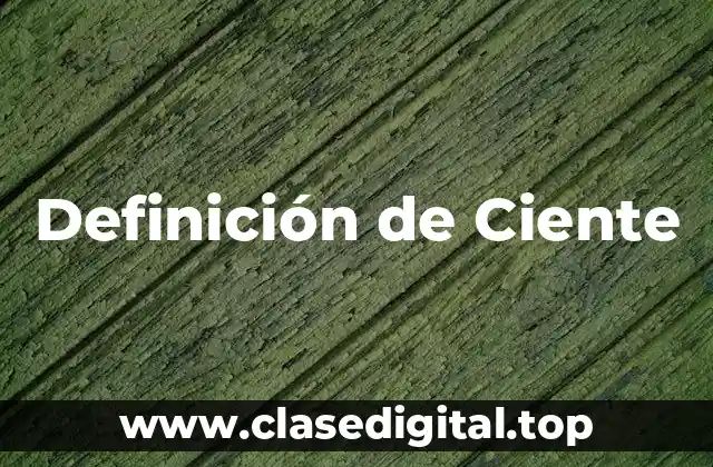 Definición de Ciente