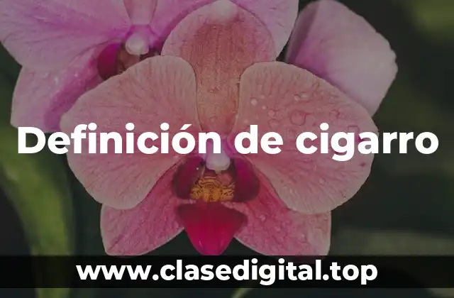 Definición de cigarro