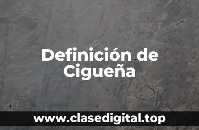 Definición de Cigueña