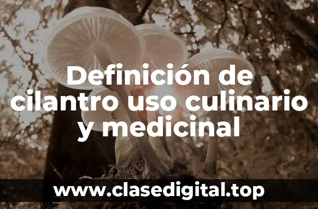 Definición de cilantro uso culinario y medicinal