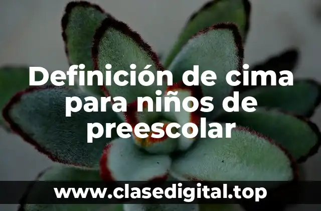 Definición de cima para niños de preescolar