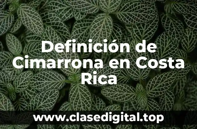 Definición de Cimarrona en Costa Rica