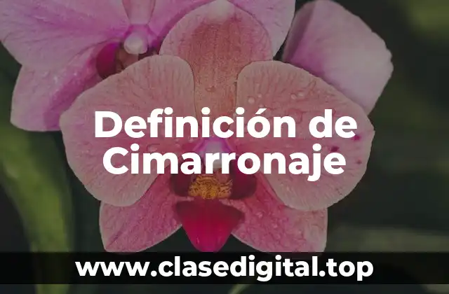 Definición de Cimarronaje