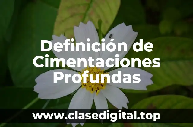 Definición de Cimentaciones Profundas