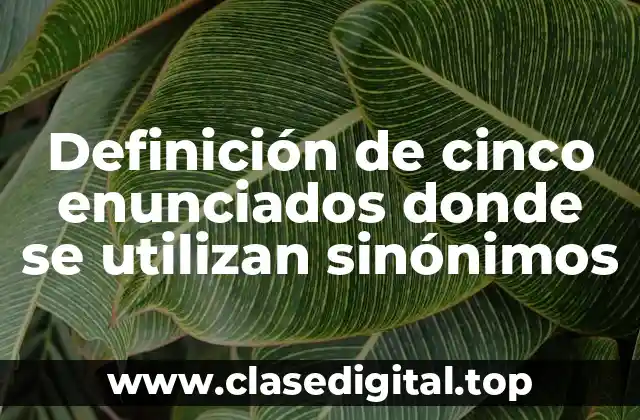 Definición de cinco enunciados donde se utilizan sinónimos