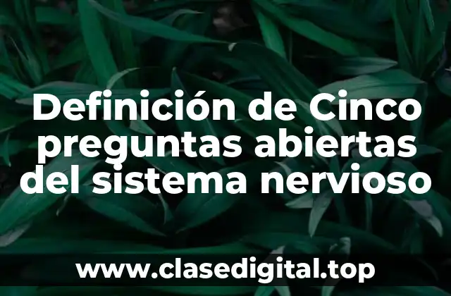 Definición de Cinco preguntas abiertas del sistema nervioso