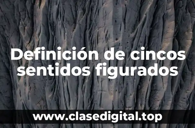 Definición de cincos sentidos figurados