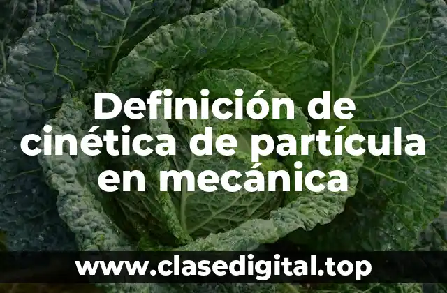 Definición técnica de cinética de partícula