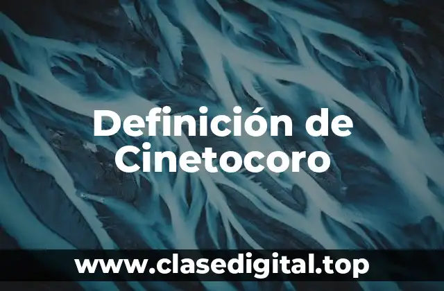 Definición de Cinetocoro
