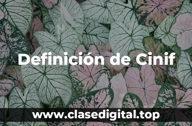 Definición de Cinif