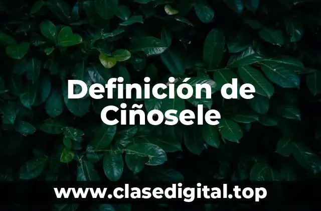 Definición de Ciñosele