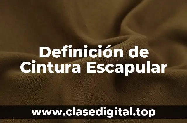 Definición de Cintura Escapular