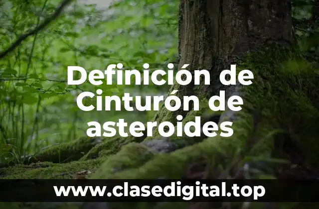 Definición de Cinturón de asteroides