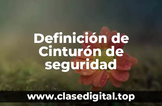 Definición de Cinturón de seguridad