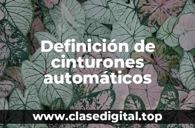 Ejemplos de cinturones automáticos