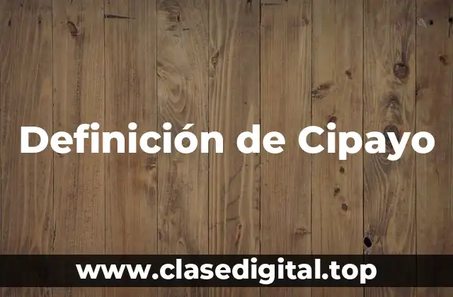 Definición de Cipayo