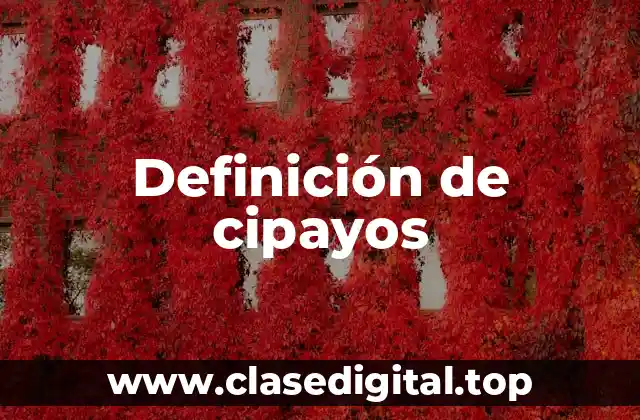 Definición de cipayos