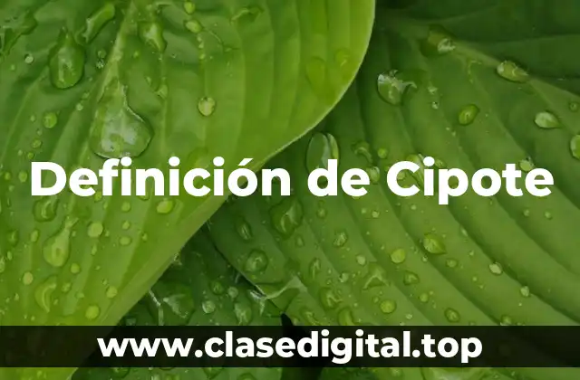 Definición de Cipote