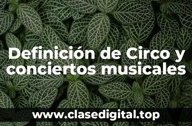 Definición de Circo y conciertos musicales