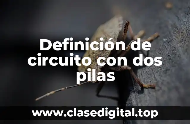 Definición de circuito con dos pilas