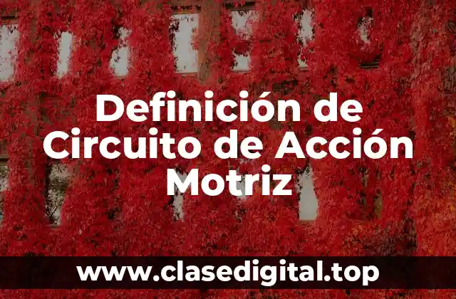 Definición de Circuito de Acción Motriz