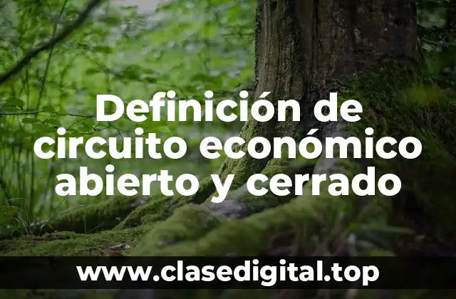 Definición de circuito económico abierto y cerrado