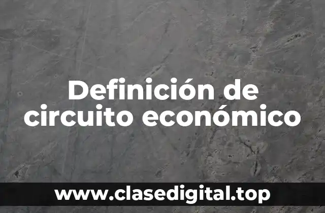 Definición de circuito económico