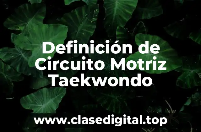 Definición de Circuito Motriz Taekwondo