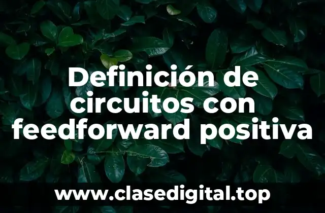 Definición de circuitos con feedforward positiva
