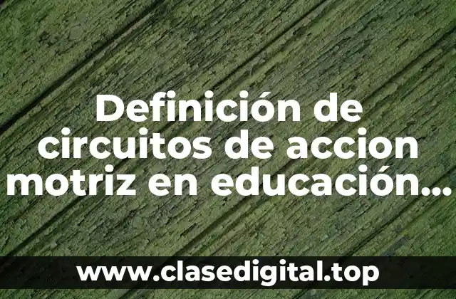 Definición de circuitos de accion motriz en educación fisica