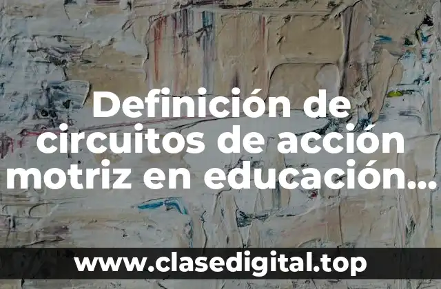 Definición técnica de circuitos de acción motriz en educación física