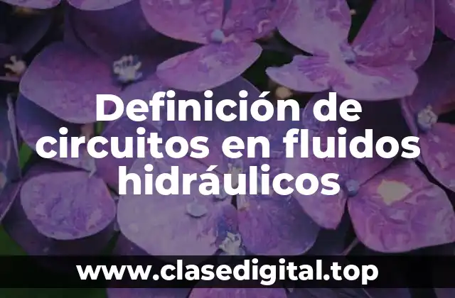 Definición de circuitos en fluidos hidráulicos