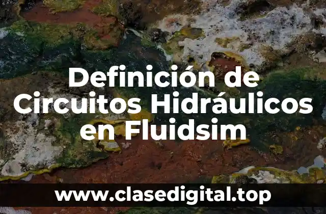 Definición de Circuitos Hidráulicos en Fluidsim